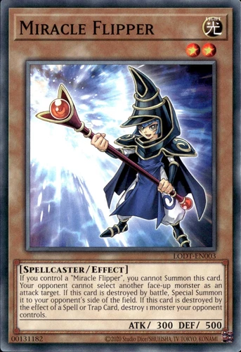 Miracle Flipper