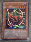 Mystic Tomato
