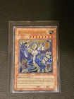 Montage Dragon