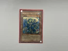 Montage Dragon