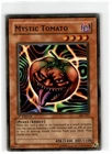 Mystic Tomato