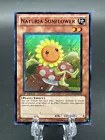 Naturia Sunflower