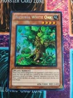 Naturia White Oak