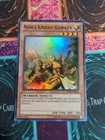 Noble Knight Gawayn
