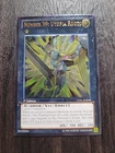 Number 39: Utopia Roots