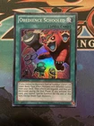 Obedience Schooled