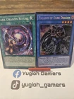 Paladin of Dark Dragon