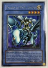 Paladin of White Dragon
