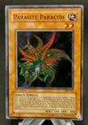 Parasite Paracide