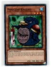 Queen's Knight