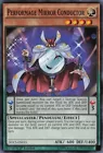 Performage Mirror Conductor