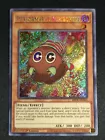 Performapal Fire Mufflerlion
