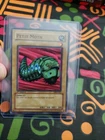 Petit Moth