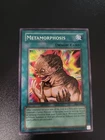 Metamorphosis