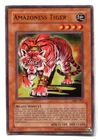 Amazoness Tiger