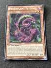 Predaplant Flytrap