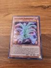 Predaplant Sarraceniant