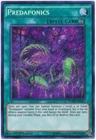 Predaplant Chlamydosundew