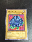 Prevent Rat