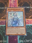 Blue-Eyes Toon Dragon
