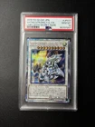 Shooting Star Dragon