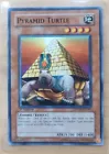 Pyramid Turtle