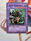 Rabid Horseman