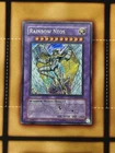 Rainbow Neos