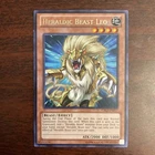 Heraldic Beast Leo