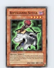 Reptilianne Scylla