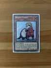 Rescue Ferret