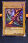Right Leg of the Forbidden One