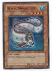 Royal Swamp Eel