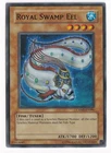 Royal Swamp Eel