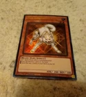 Ryko, Lightsworn Hunter