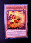Salamandra, the Flying Flame Dragon