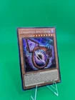 Black Rose Moonlight Dragon