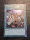 Mistaken Arrest