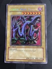 Serpent Night Dragon