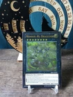 Number 46: Dragluon