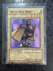 Skull Red Bird
