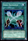 Soul Exchange