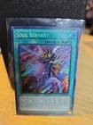 Soul Servant