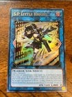 S:P Little Knight