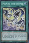 Soul Exchange