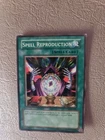 Spell Reproduction