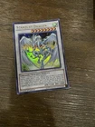 Rainbow Dragon