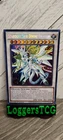 Divine Dragon - Excelion