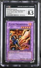 Flame Swordsman