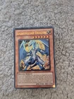 Vice Dragon